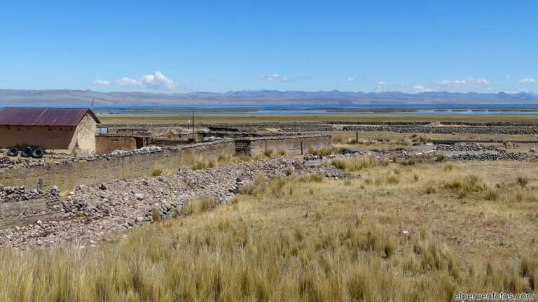 pampas de junin 010